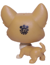 #204 Corgi "Earl Duketon"